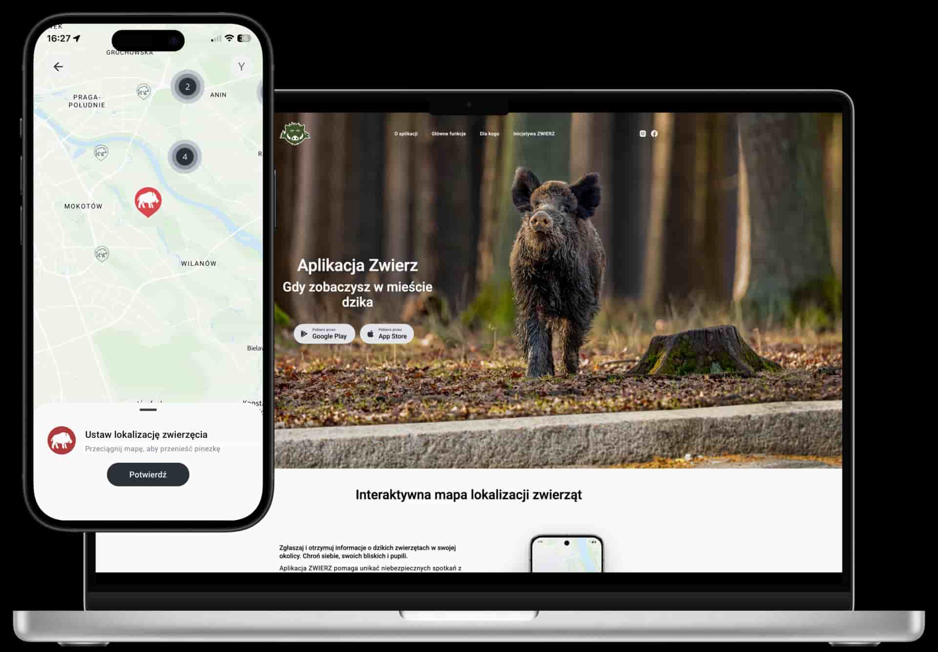 Case Study Preview