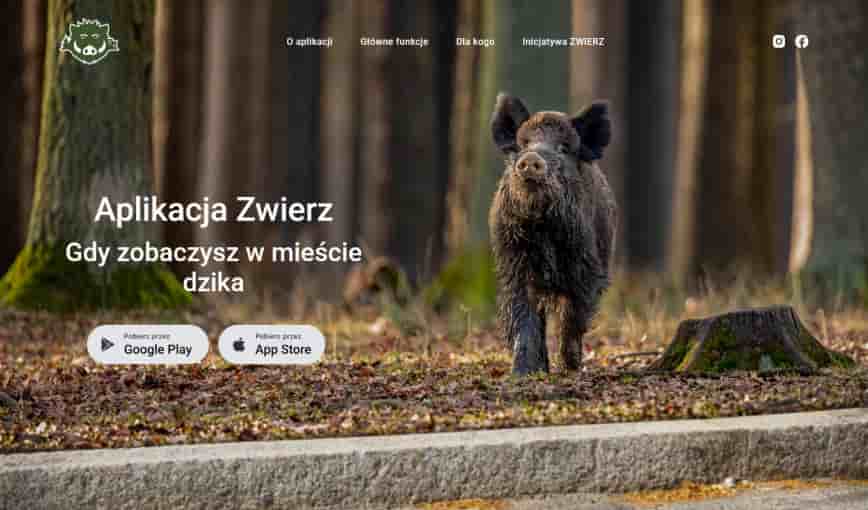 Od pomysłu do aplikacji dla 4000+ użytkowników - Zwierz.org